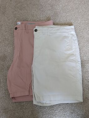 Bundle Goodfellow Target Men's The Every Wear Short 9" Inseam